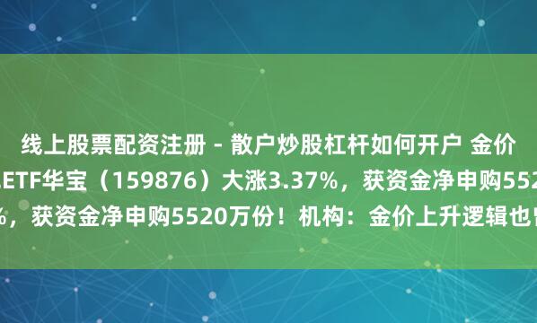 线上股票配资注册 - 散户炒股杠杆如何开户 金价续创历史新高！有色ETF华宝（159876）大涨3.37%，获资金净申购5520万份！机构：金价上升逻辑也曾坚实